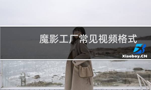 魔影工厂常见视频格式WMV/ASF格式的转换教程