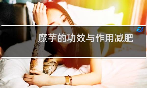 魔芋的功效与作用减肥（魔芋的功效与作用）图片