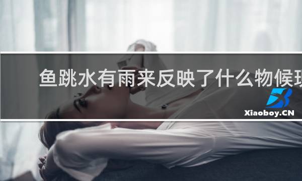 鱼跳水有雨来反映了什么物候现象