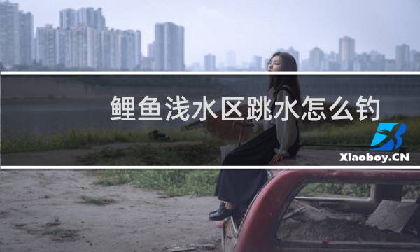 鲤鱼浅水区跳水怎么钓