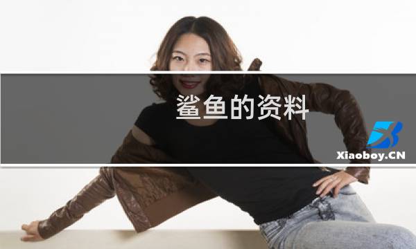 鲨鱼的资料
