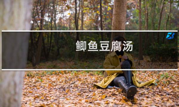 鯽魚豆腐湯