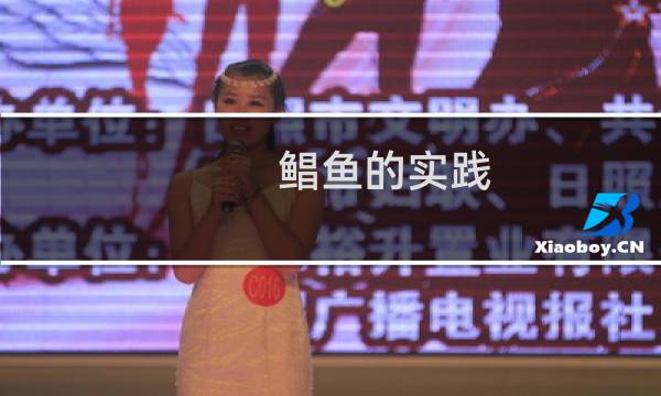 鲳鱼的实践
