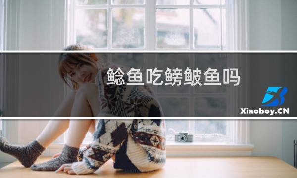 鲶鱼吃鳑鲏鱼吗（鮰鱼和鲶鱼哪个干净会吃人的鲶鱼食人鲶）