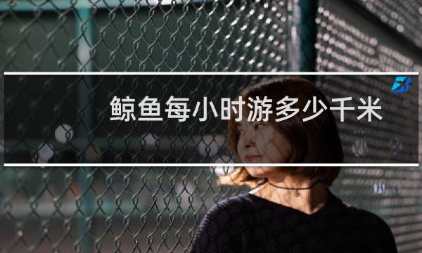 鲸鱼每小时游多少千米