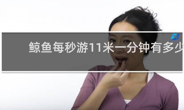 鲸鱼每秒游11米一分钟有多少米