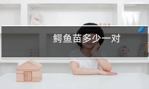 鳄鱼苗多少一对（鳄鱼苗多少钱一条）图片