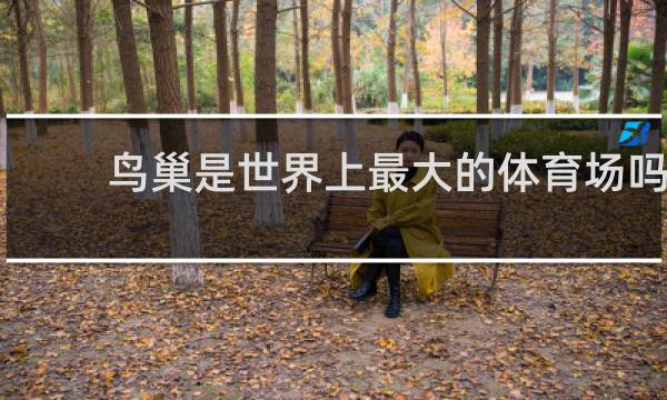 鸟巢是世界上最大的体育场吗