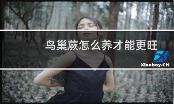 鸟巢蕨怎么养才能更旺盛（如何养鸟巢蕨）