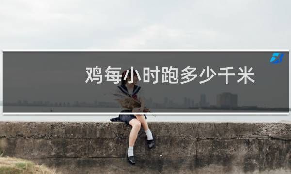 鸡每小时跑多少千米