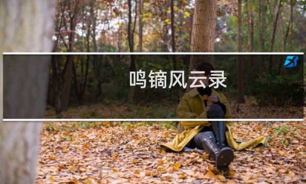 鸣镝风云录图片