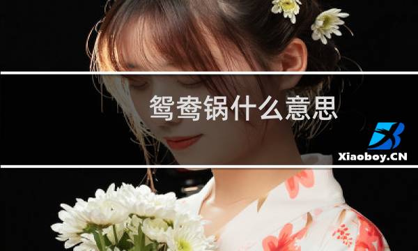 鸳鸯锅什么意思