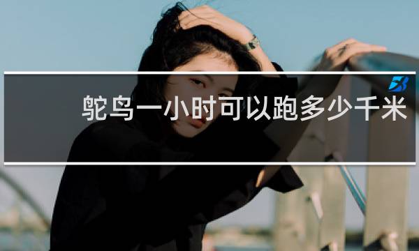 鸵鸟一小时可以跑多少千米