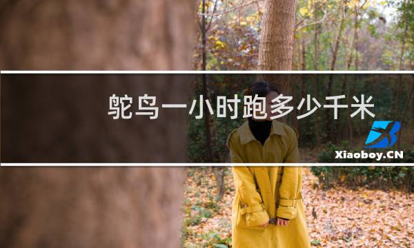 鸵鸟一小时跑多少千米