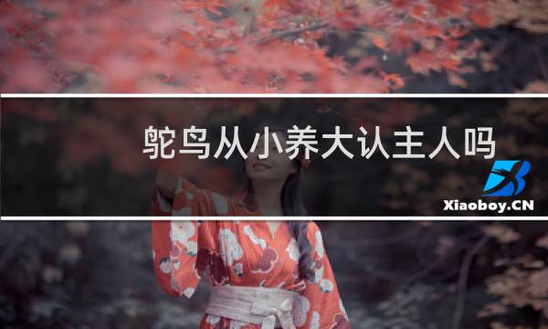 鸵鸟从小养大认主人吗