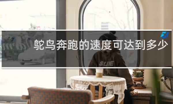 鸵鸟奔跑的速度可达到多少