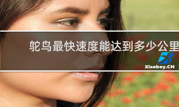鸵鸟最快速度能达到多少公里