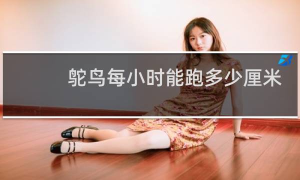 鸵鸟每小时能跑多少厘米