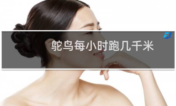 鸵鸟每小时跑几千米