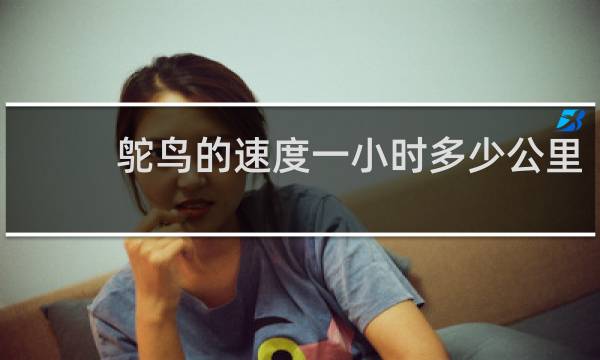 鸵鸟的速度一小时多少公里