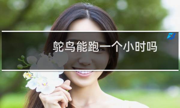 鸵鸟能跑一个小时吗
