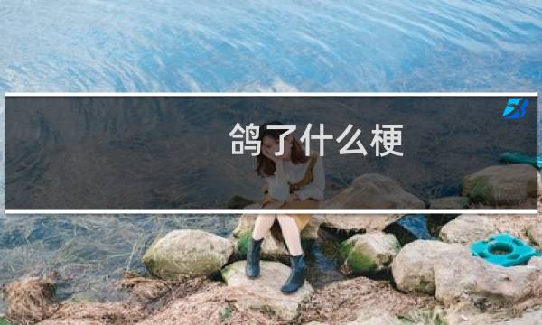 鸽了什么梗