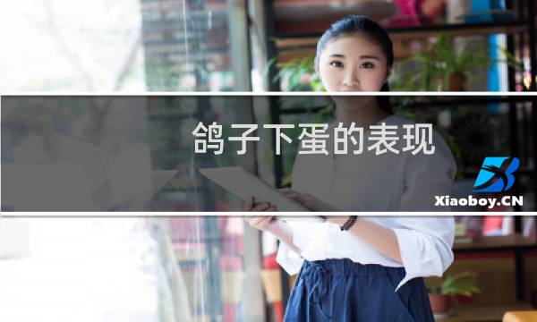 鸽子下蛋的表现