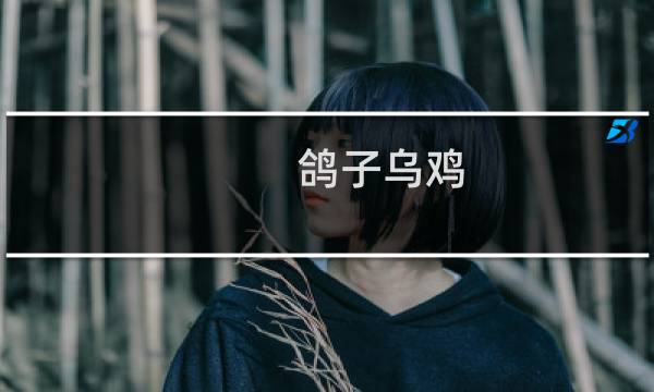 鸽子乌鸡