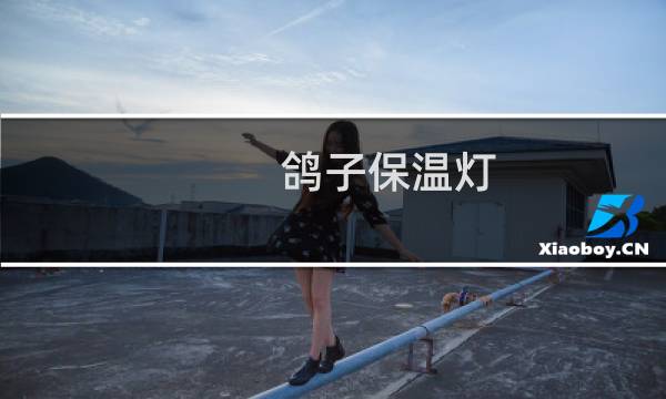 鸽子保温灯
