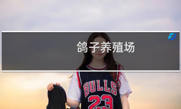 鸽子养殖场