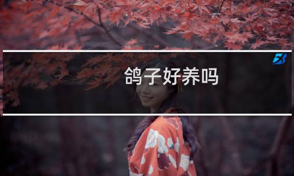 鸽子好养吗?