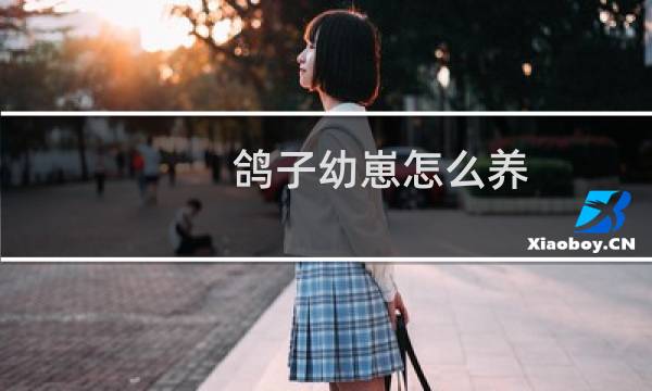 鸽子幼崽怎么养