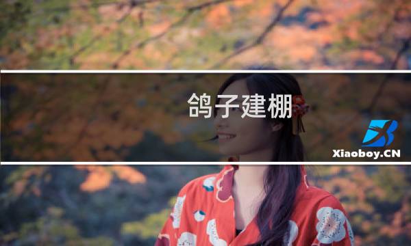 鸽子建棚