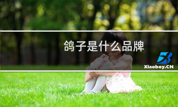 鸽子是什么品牌