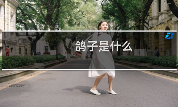 鸽子是什么