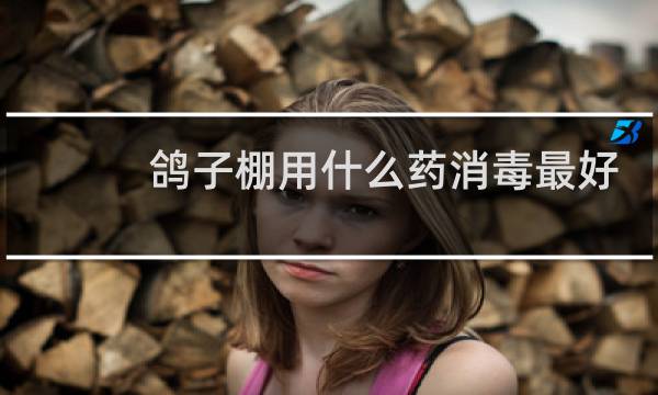 鸽子棚用什么药消毒最好