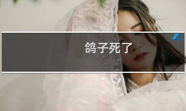 鸽子死了
