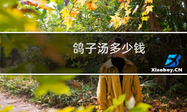 鸽子汤多少钱