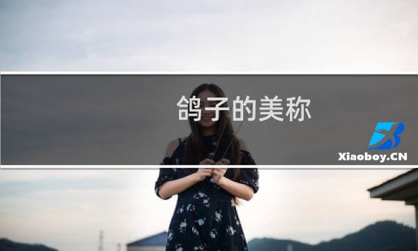 鸽子的美称