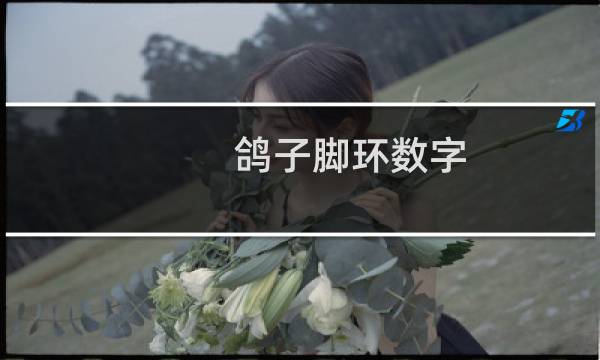 鸽子脚环数字