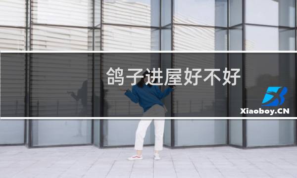 鸽子进屋好不好