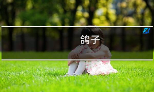 鸽子 吃什么