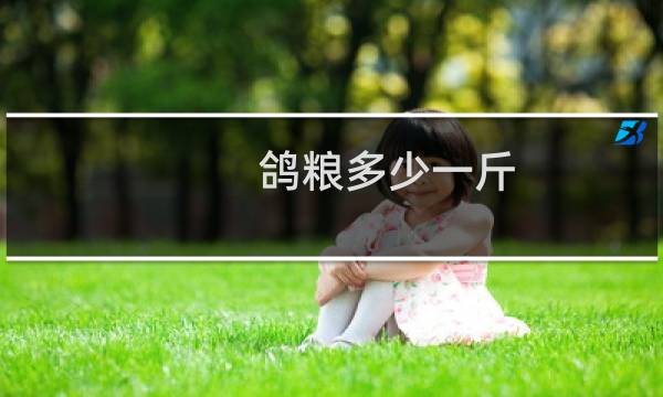 鸽粮多少一斤