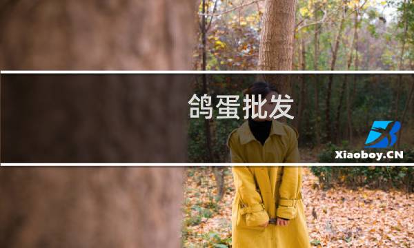 鸽蛋批发