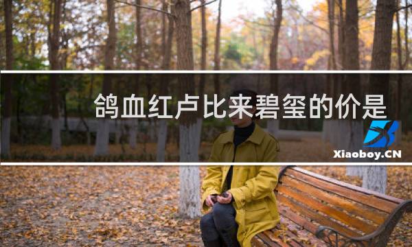 鸽血红卢比来碧玺的价是多少