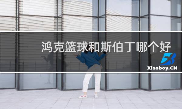 鸿克篮球和斯伯丁哪个好