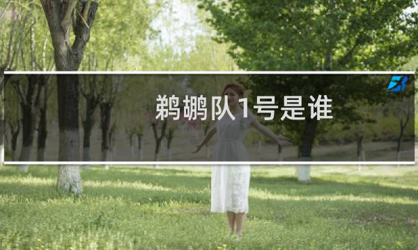 鹈鹕队1号是谁