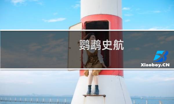 鹦鹉史航图片