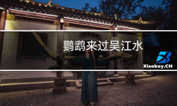 鹦鹉来过吴江水图片