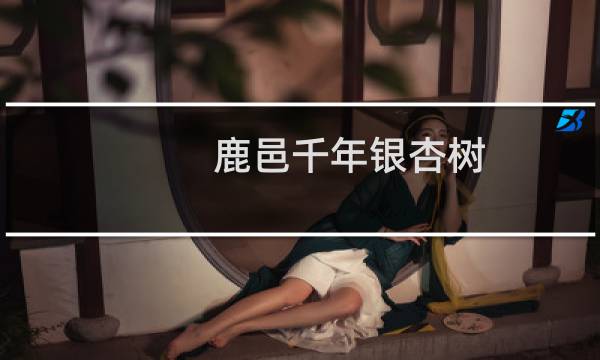 鹿邑千年银杏树